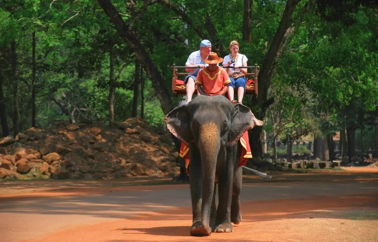 South India