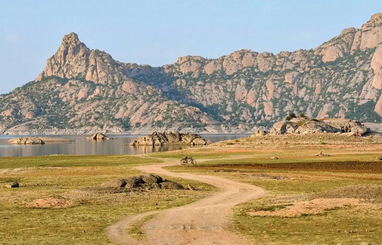 51