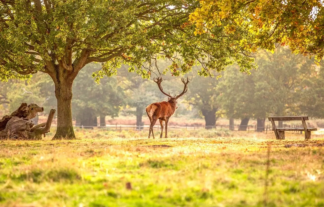 BangloreWildlife7