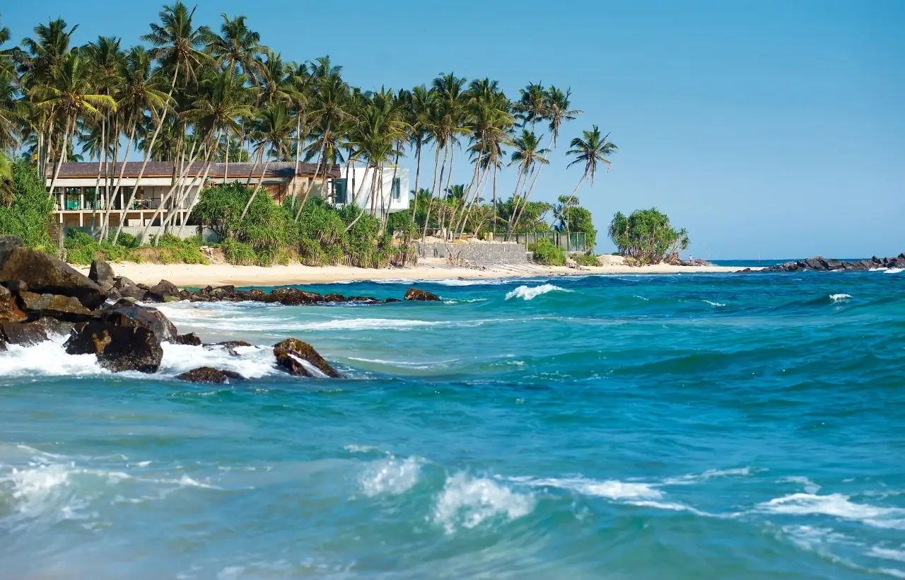 SpiceRootofIndia&Srilanka7