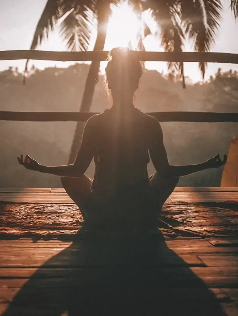 Ayurveda Wellness